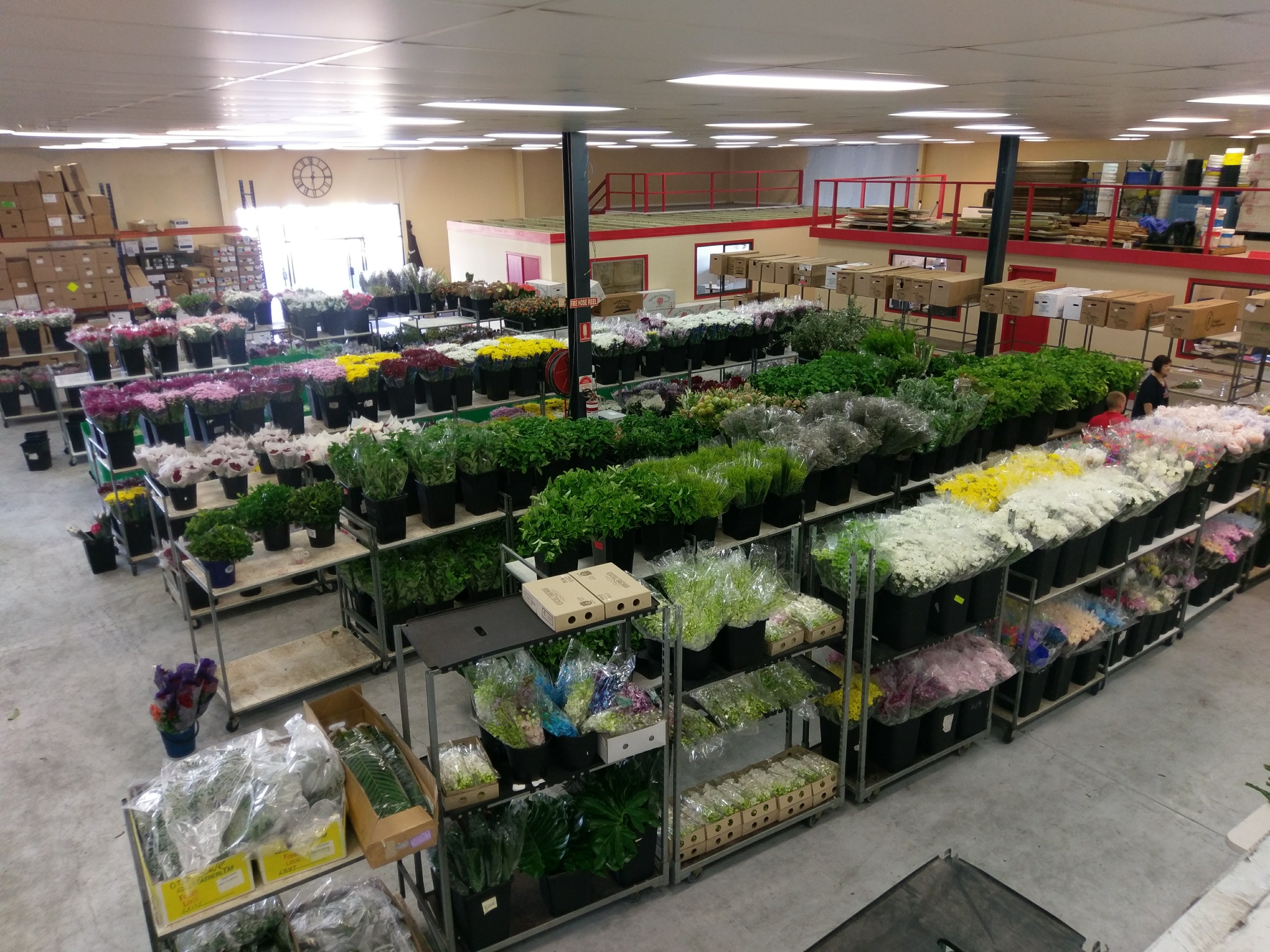 Brisbane Wholesale Flower Market Trading Floor